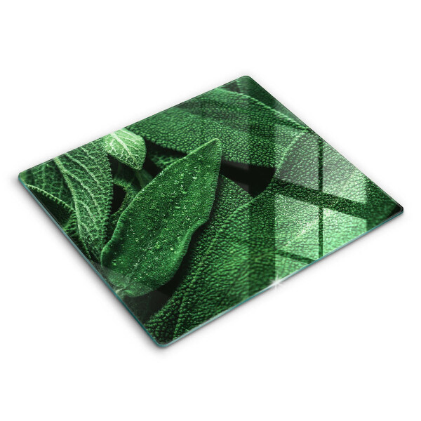 Tábua para corte As folhas da planta