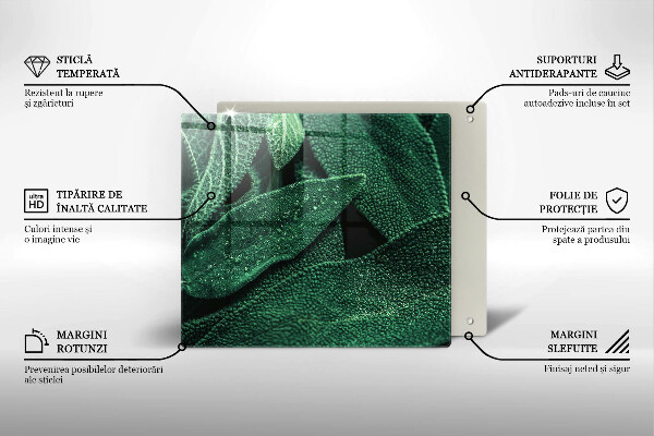 Tábua para corte As folhas da planta