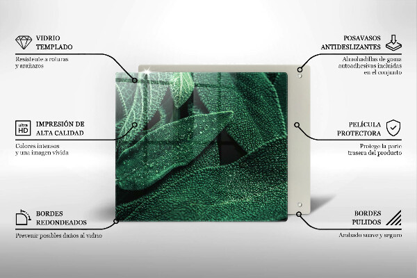 Tábua para corte As folhas da planta