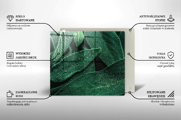 Tábua para corte As folhas da planta