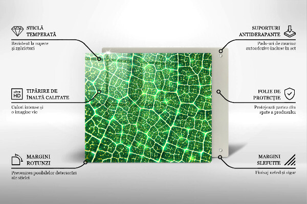Tábua de vidro Estrutura da folha
