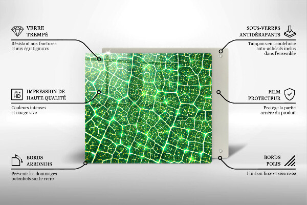 Tábua de vidro Estrutura da folha