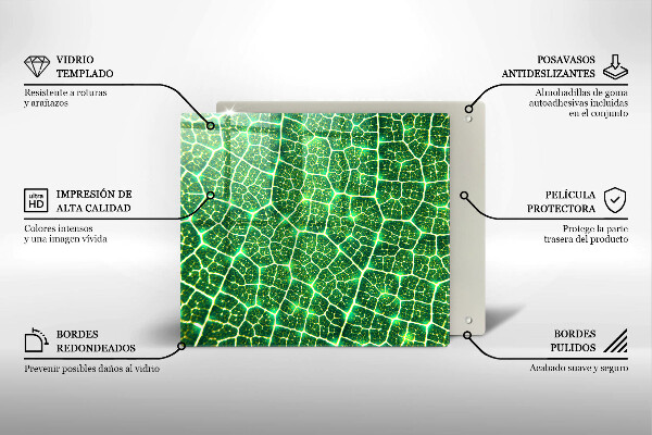 Tábua de vidro Estrutura da folha