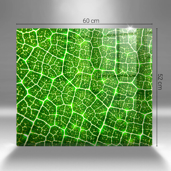 Tábua de vidro Estrutura da folha