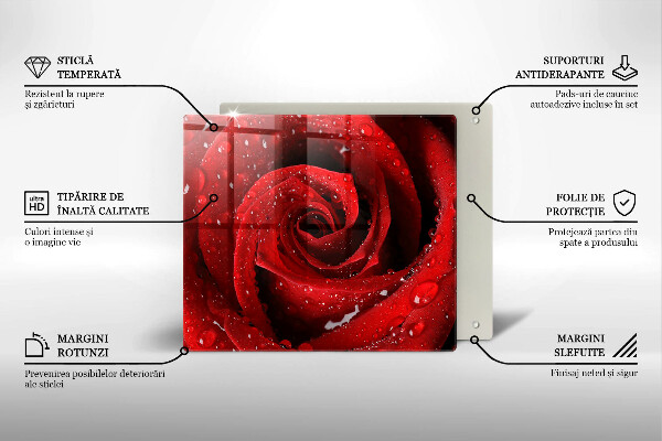 Tábua cozinha Pétalas de flores de rosa