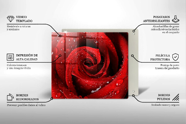 Tábua cozinha Pétalas de flores de rosa