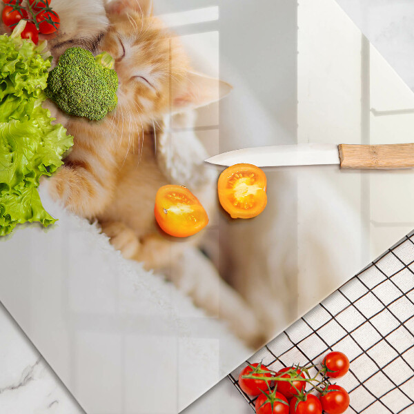 Tábua de corte de vidro Animais cão e gato