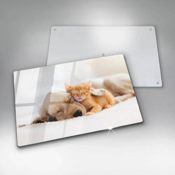 Tábua de corte de vidro Animais cão e gato