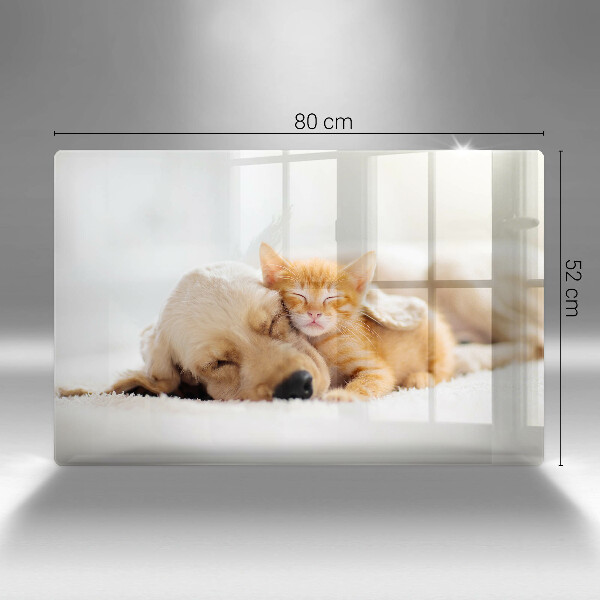 Tábua de corte de vidro Animais cão e gato