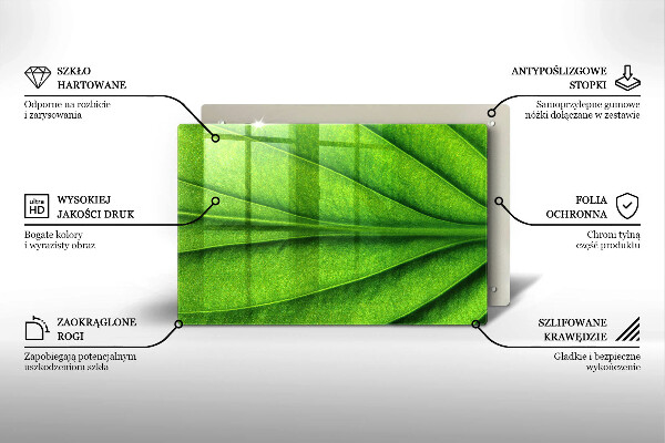 Tábua de corte Natureza das nervuras das folhas