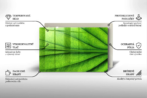 Tábua de corte Natureza das nervuras das folhas