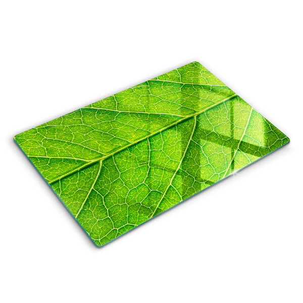 Tábua cozinha Natureza das nervuras das folhas