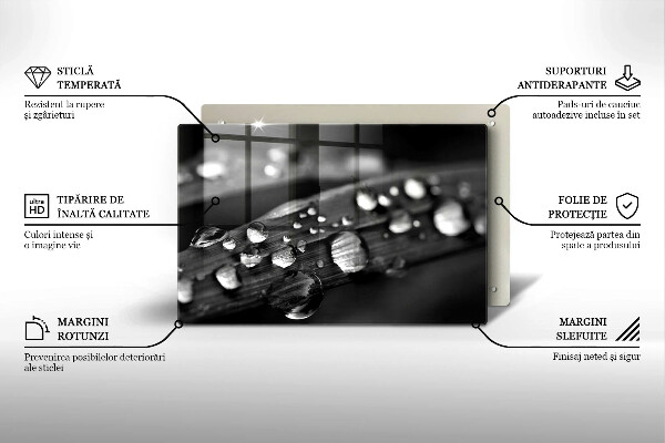 Tábua corte Gotas de orvalho nas folhas