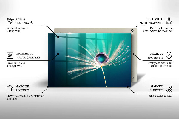 Tábua de cortar de vidro Orvalho em um dente-de-leão