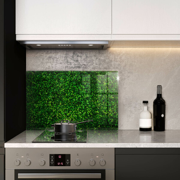 Tábua para corte Planta com folhas pequenas