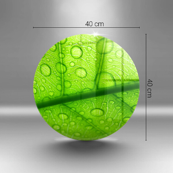 Tábua para cozinha Close-up de uma folha