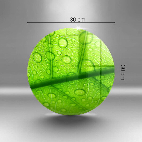 Tábua para cozinha Close-up de uma folha