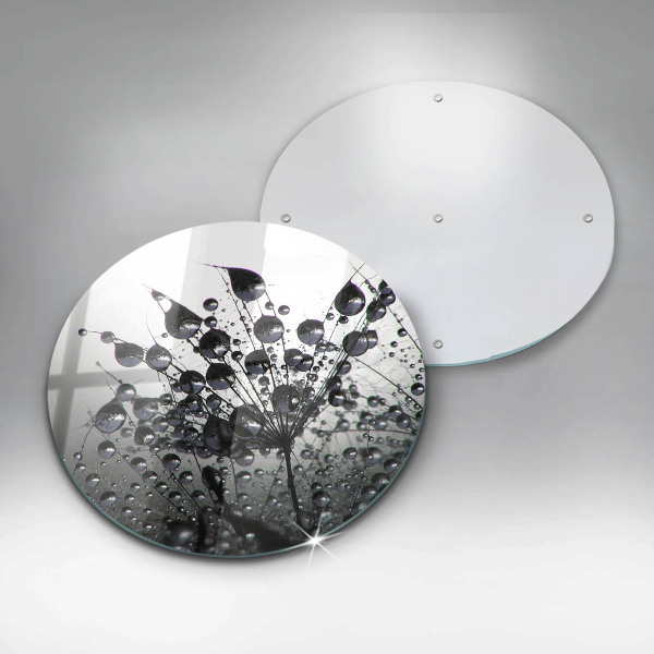 Tábua corte Dente-de-leão e orvalho