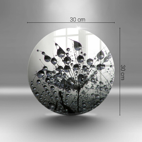 Tábua corte Dente-de-leão e orvalho