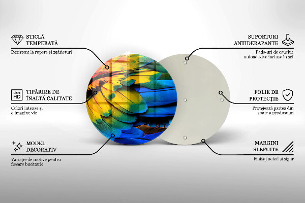 Tábua de vidro Penas coloridas de papagaio