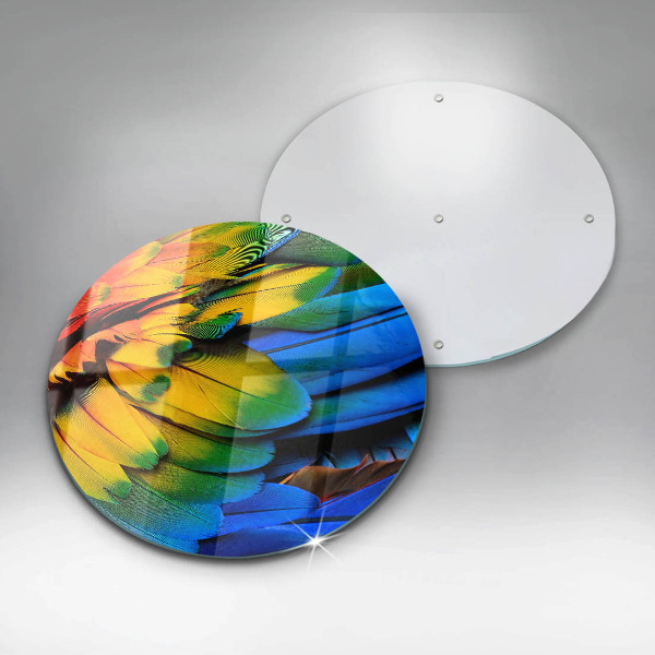 Tábua de vidro Penas coloridas de papagaio