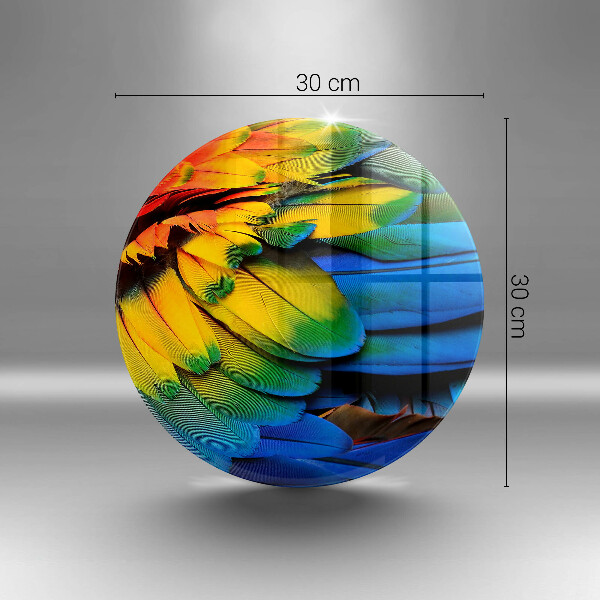 Tábua de vidro Penas coloridas de papagaio
