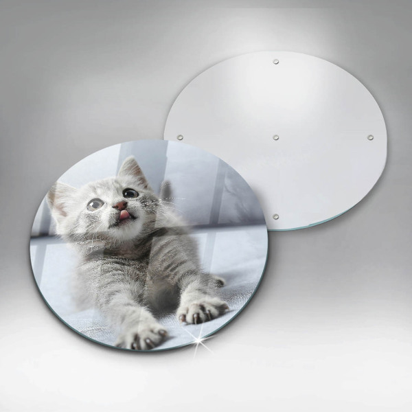 Tábua de vidro Um gatinho fofo