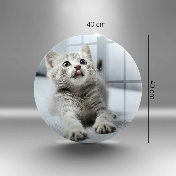 Tábua de vidro Um gatinho fofo