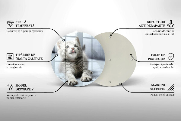 Tábua de vidro Um gatinho fofo