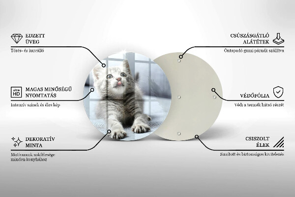 Tábua de vidro Um gatinho fofo