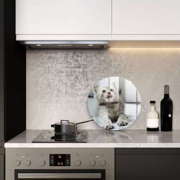 Tábua de vidro Um gatinho fofo