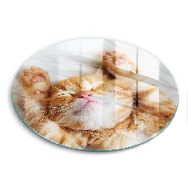 Tábua para cozinha Gatinho doce
