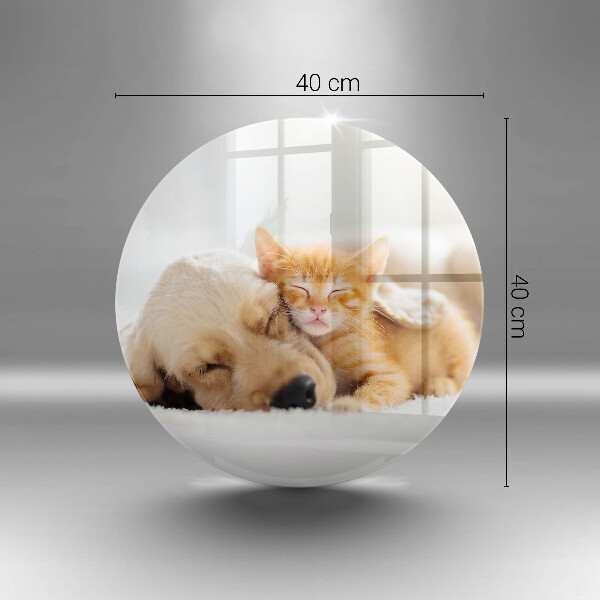 Tábua corte Animais cão e gato