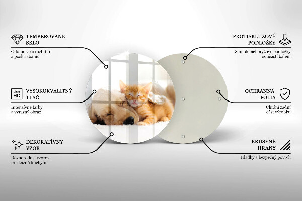 Tábua corte Animais cão e gato