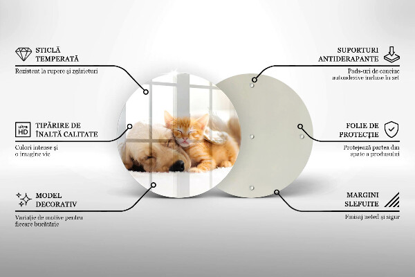 Tábua corte Animais cão e gato