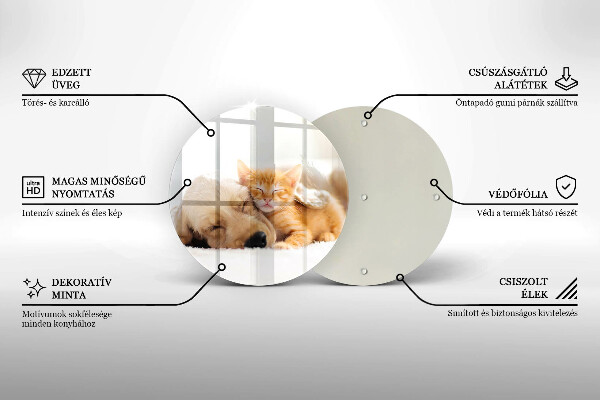 Tábua corte Animais cão e gato