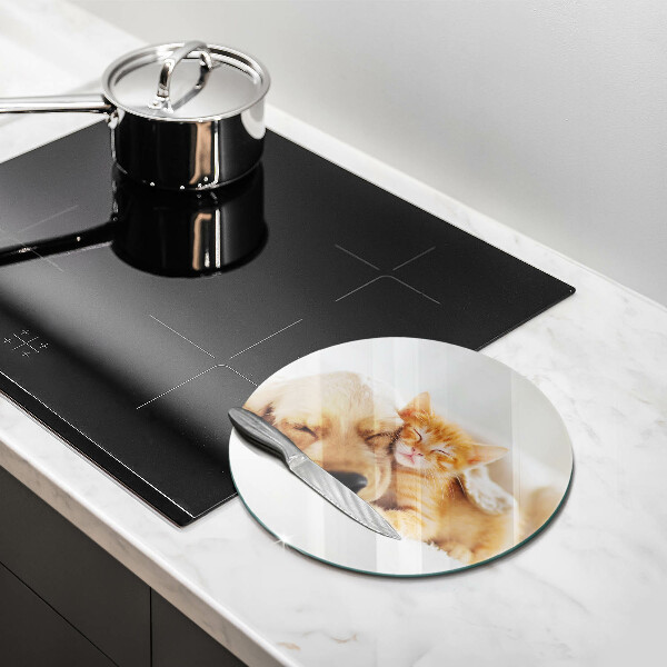 Tábua corte Animais cão e gato