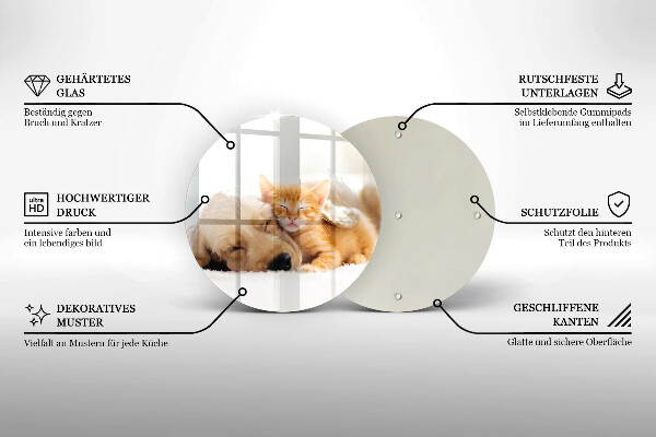 Tábua corte Animais cão e gato