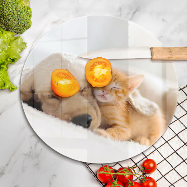 Tábua corte Animais cão e gato