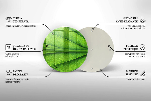 Tábua corte Natureza das nervuras das folhas