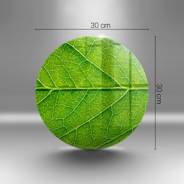 Tábua de corte de vidro Natureza das nervuras das folhas