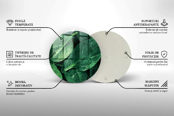 Tábua de cortar alimentos Folhas de manjericão