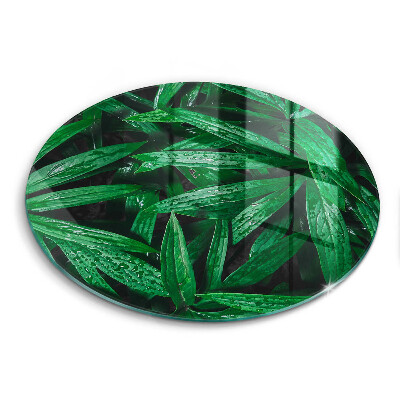 Tábua para corte Folhas de plantas