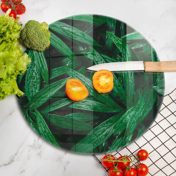 Tábua para corte Folhas de plantas