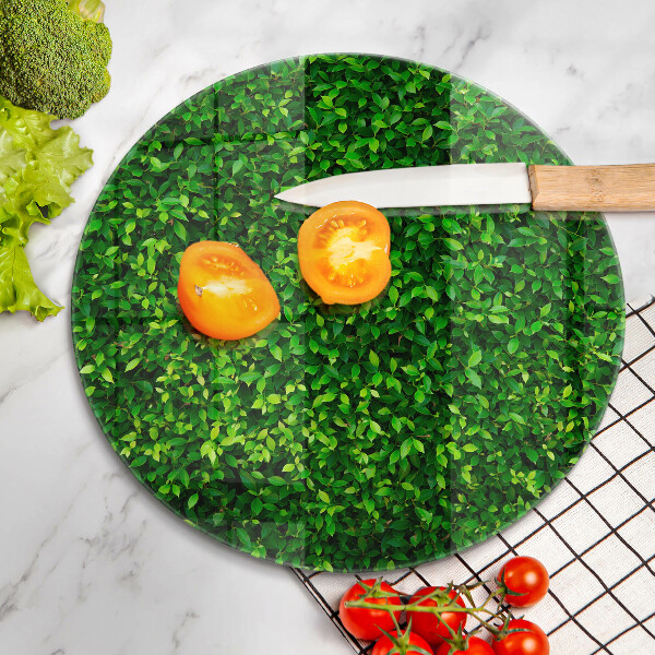 Tábua de corte Planta com folhas pequenas
