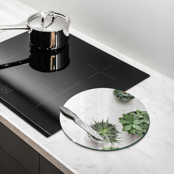 Tábua de cortar alimentos Suculentas em concreto