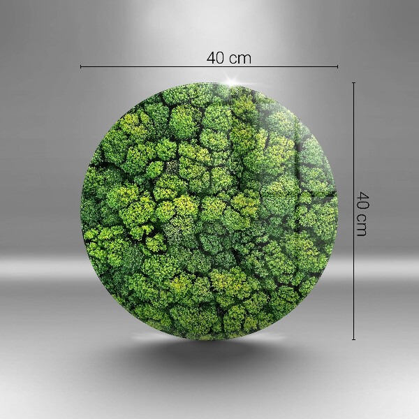 Tábua de corte A natureza planta musgo