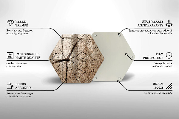Tábua de cortar Seção transversal de uma árvore