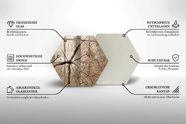 Tábua de cortar Seção transversal de uma árvore