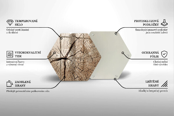 Tábua de cortar Seção transversal de uma árvore